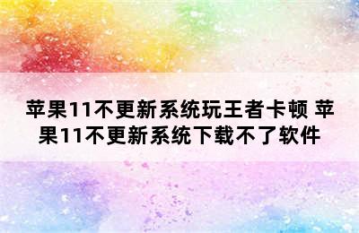 苹果11不更新系统玩王者卡顿 苹果11不更新系统下载不了软件